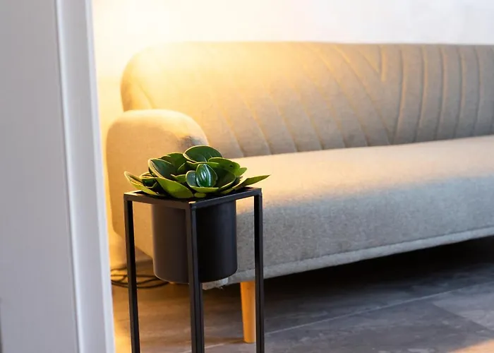 Moderno La Dolce Vita *